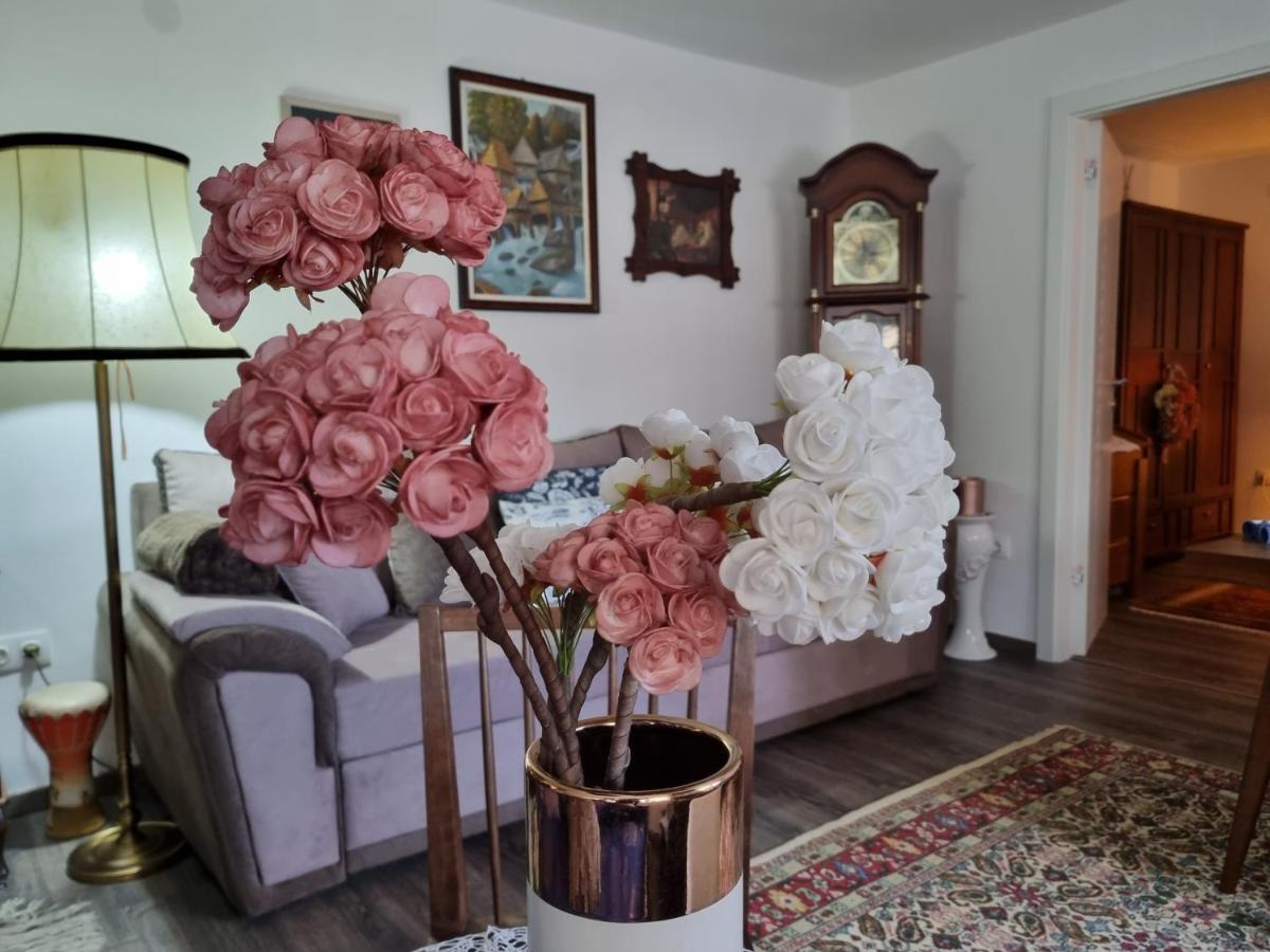 Apartment Blaoss Karlovac Εξωτερικό φωτογραφία